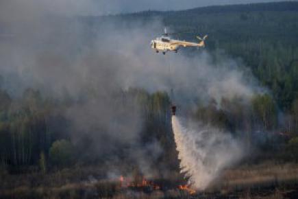 Київська область: рятувальники ліквідували пожежу на території спеціального комбінату «Чорнобильська пуща»