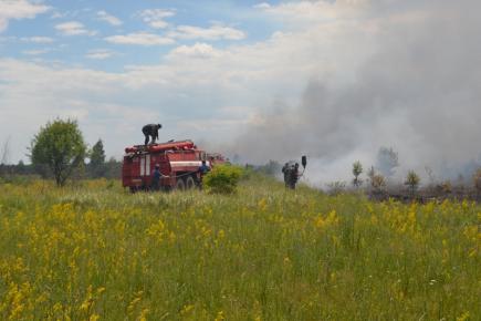 Інформація щодо  загорання сухої трави на території комплексу лісового господарства  «Чорнобильська пуща»