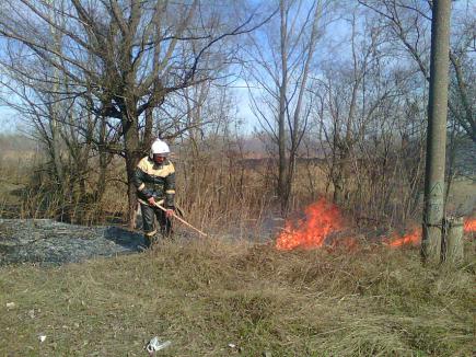 Рятувальники закликають громадян не провокувати пожежі в екосистемах