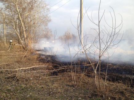 За добу на полтавщині ліквідували 6 пожеж на відкритій території