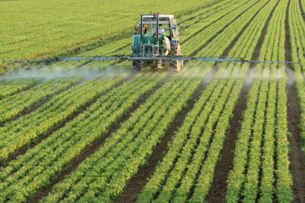 Правила безпеки при застосуванні пестицидів та агрохімікатів