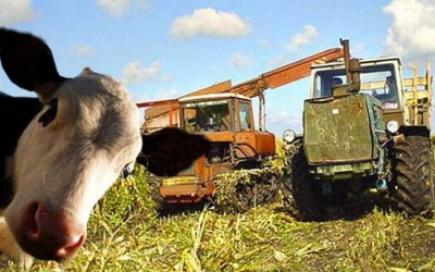 В Україні побільшало смертельних випадків на підприємствах агропромислового комплексу