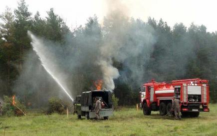 На Херсонщине загорелись 6 гектаров леса