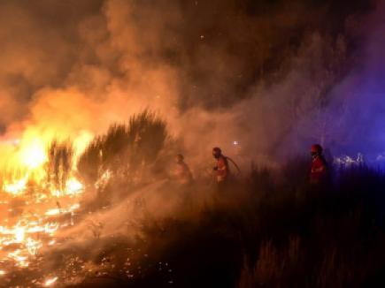 Из-за жары за сутки в Украине произошло 308 пожаров