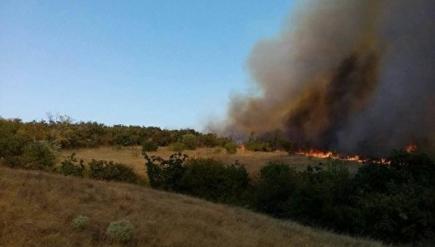 В Николаевской области горит большой участок леса