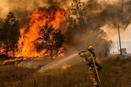 У 10 областях України весь тиждень буде надзвичайна пожежна небезпека
