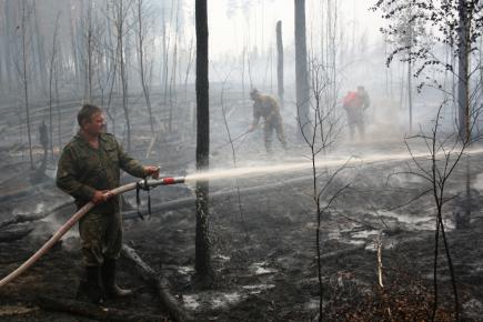 Олевський район: площа пожежі у Поліському природному заповіднику зменшилася до 5 га