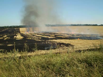 Донецька область: внаслідок пожежі знищено 11 га стерні
