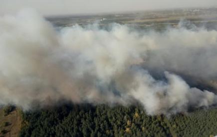 На Харківщині горить 70 га лісу
