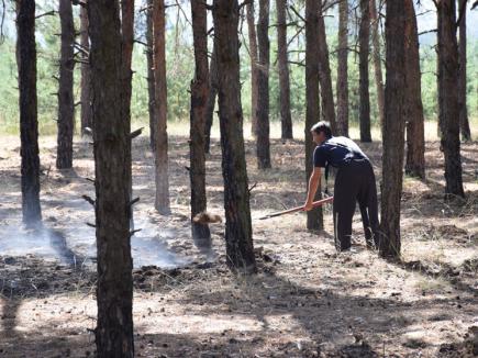 На Миколаївщині через підпали вигоріло понад два гектари лісу