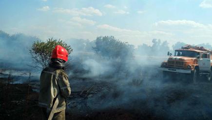 В Тернопольской области сгорела крупная птицеферма