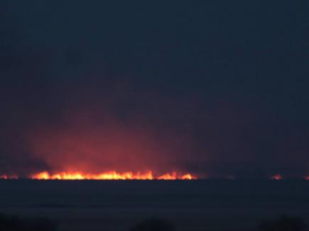 Пожар в природном парке в Одесской области “самоликвидировался”