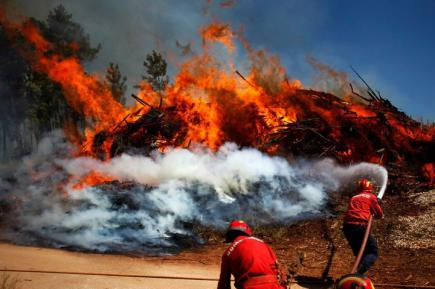 Лісові пожежі в Португалії забрали життя понад 40 осіб