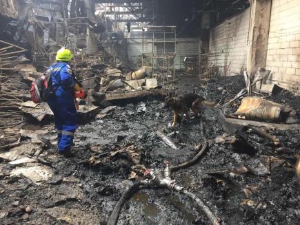 Київська область: ліквідовано пожежу на території ПрАт «ЕлітДекор»