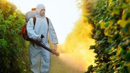 Роботи з пестицидами: про що слід пам’ятати роботодавцю