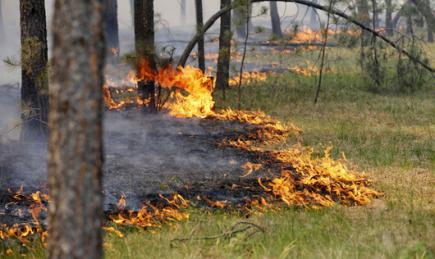 ДСНС України попереджає про наслідки пожеж на відкритих територіях!