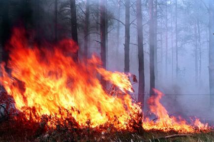 Увага! Попередження про пожежну небезпеку в Україні