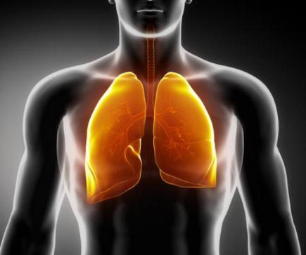 Майже половина профзахворювань у 2018 році — це хвороби органів дихання