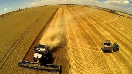 В Україні розпочалася зернозбиральна кампанія: рекомендації з протипожежної безпеки від ДСНС