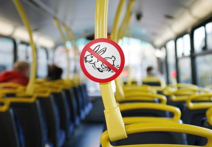 У київському громадському транспорті полюють на «зайців»: кондукторам стане безпечніше працювати