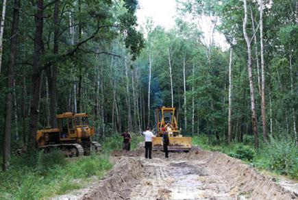 Як проводяться навчання з охорони праці у лісогосподарських підприємствах