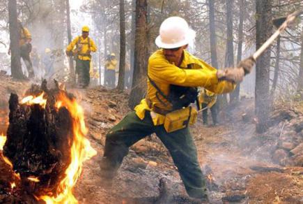 Пожежна безпека в лісі: українцям нагадали про штрафи