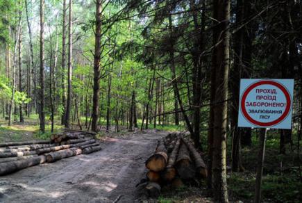 Перевірений підприємець-лісогосподарник ретельніше слідкуватиме за нормативними змінами