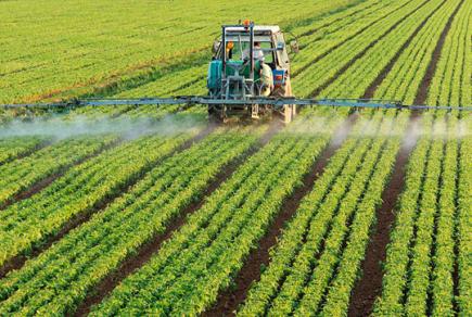 Як вберегтися від шкідливого впливу пестицидів?