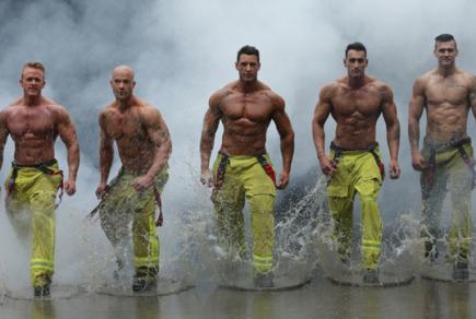 Австралійські пожежники випустили новий календар на захист дикої природи