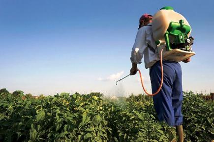 Пестициди та агрохімікати: загальна характеристика та заходи охорони праці при їх використанні