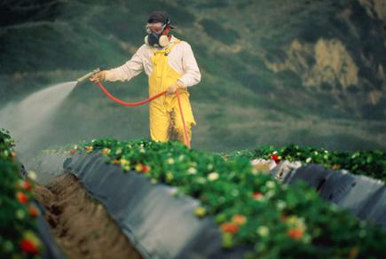 Як безпечно, без шкоди для здоров’я, виконувати роботи, пов’язані із застосуванням пестицидів та агрохімікатів