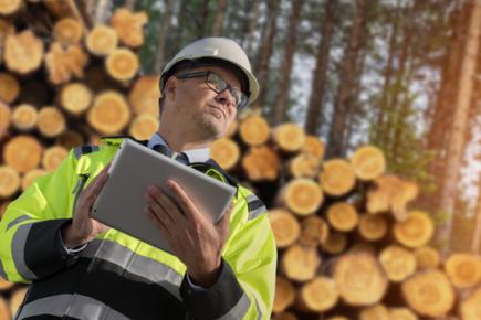 Основні вимоги безпеки на лісосічних роботах
