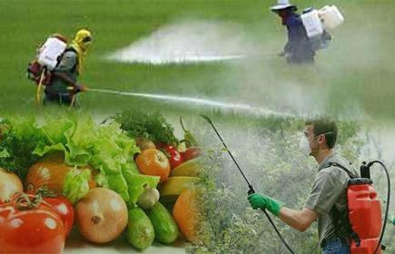 Медогляд працівників, які працюють з пестицидами та ядохімікатами