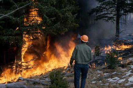 Відповідальність за порушення вимог пожежної безпеки в лісі