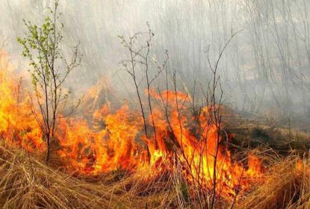 Пожежникам пропонують дозволити складати адмінпротоколи за спалювання сухої трави