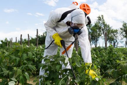 Пестициди та агрохімікати: загальна характеристика та заходи охорони праці при використанні