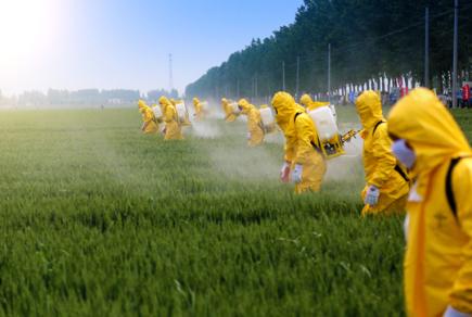 Ще раз про безпеку застосування пестицидів