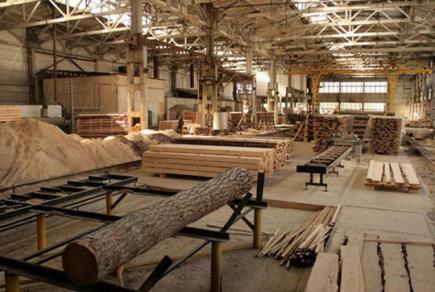 Вимоги безпеки у деревообробній промисловості