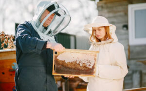 Які вимоги встановлені в Україні щодо безпеки у бджільництві?