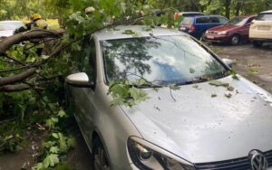 У Харкові під час зливи дерева попадали на автомобілі