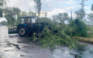 У Запоріжжі через негоду дерева попадали на дороги і пошкодили електричні дроти