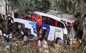 У Туреччині в автокатастрофі загинуло 12 людей — автобус впав в ущелину