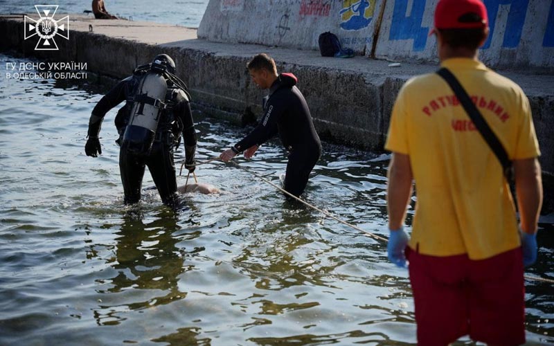 В Одесі під час купання в морі потонув 19-річний хлопець