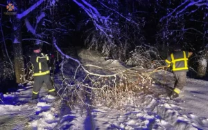 Негода на Закарпатті повалила десятки дерев, створюючи снігові пастки на дорогах