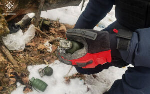 Вибухонебезпечні предмети: на Київщині у лісі знайшли три ручні гранати