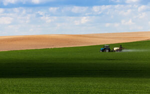 Українські аграрії вже засіяли понад мільйон гектар ярих зернових та зернобобових