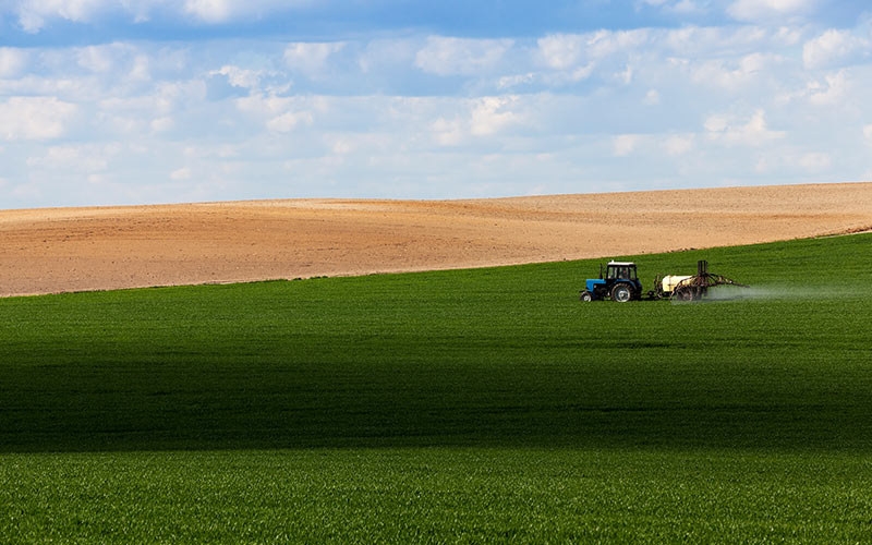 Українські аграрії вже засіяли понад мільйон гектар ярих зернових та зернобобових