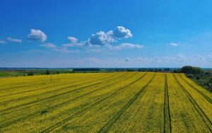 Про презентацію Стратегії розвитку сільського господарства та сільських територій в Україні на період до 2030 року