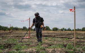 З початку року аграрії вже використовують понад 150 тис. га розмінованих земель