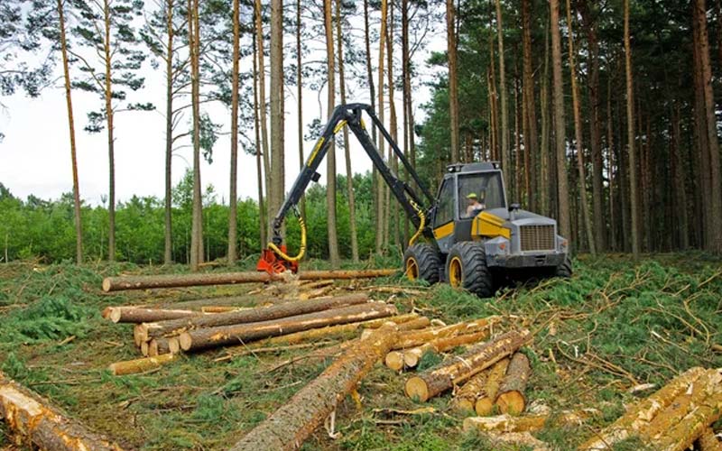 Безпека праці під час використання лісогосподарської техніки: застосування правил безпеки та запобігання нещасним випадкам